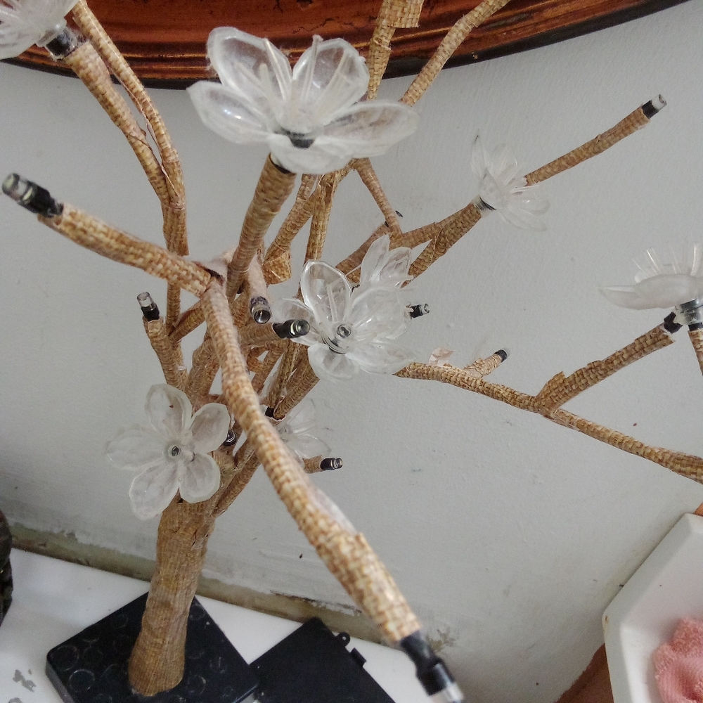 Flower tree it is missing some of its small flowers but majority are on it